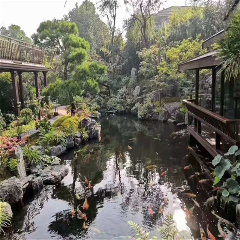 茶陵假山植物小鱼池